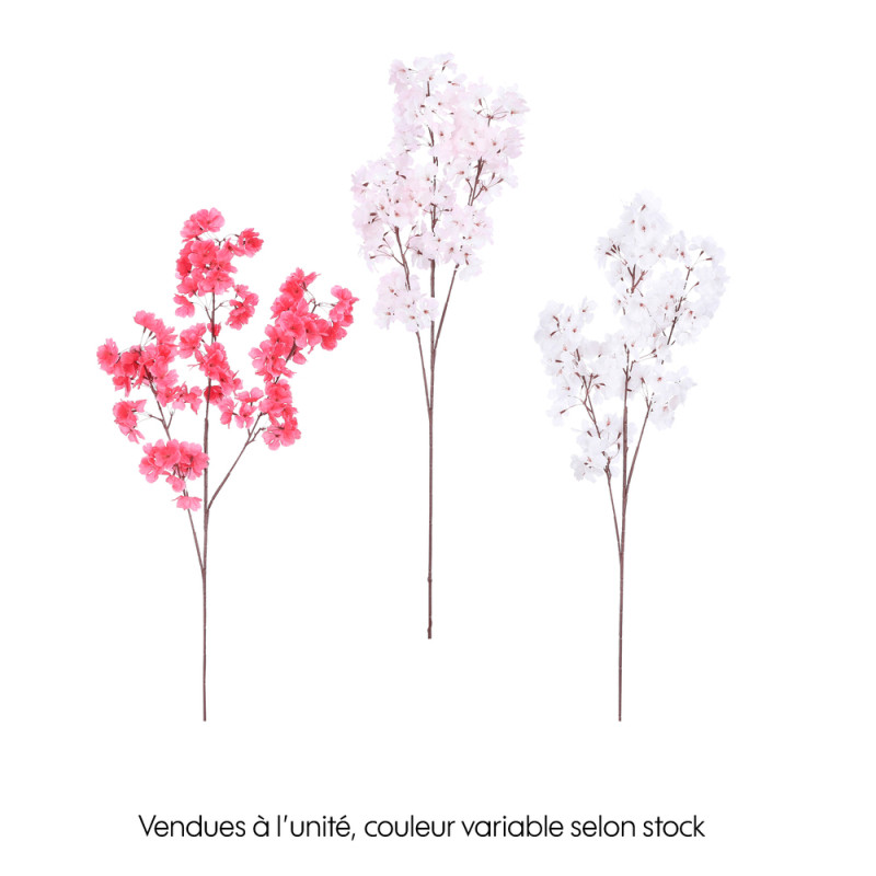 3 assortiments de cerisier : coloris rose, clair e