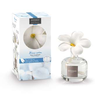 Fleur à parfum Blanc coton 75ml