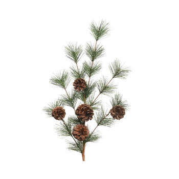 Branche avec aiguilles dures et pommes de pin : 50