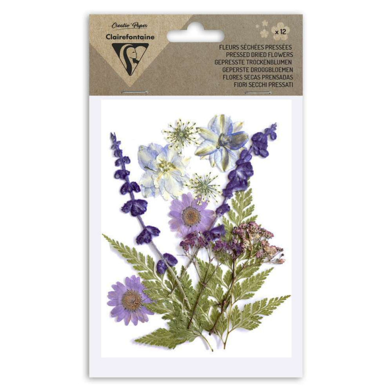 Pochette de 12 fleurs pressées séchées, assortimen