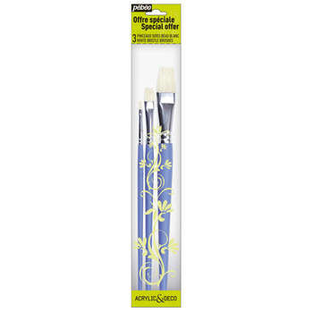Pinceaux plats : soies blanc N°4-10-18 x3