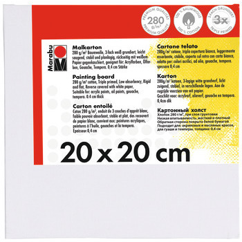 Carton entoilé : à peindre,L.20xl.20cm