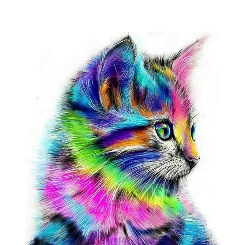 Peinture par numéros FiguredArt Chaton Coloré toi
