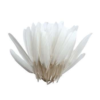 Plumes blanches indiennes - 10g