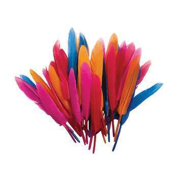 Sachet 10 cm gr plumes d'indien coloris assortis H