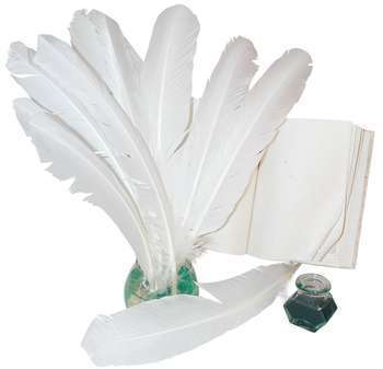 Plumes indiennes blanches x10 - 34cm