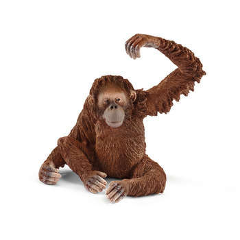 Orang-outan femelle : plastique injecté