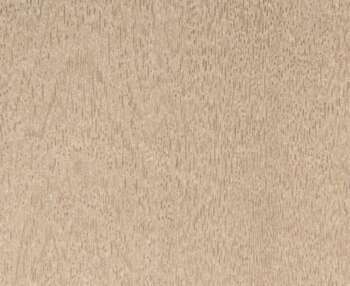 Feuille texturée bois chêne 30x30cm - 120g