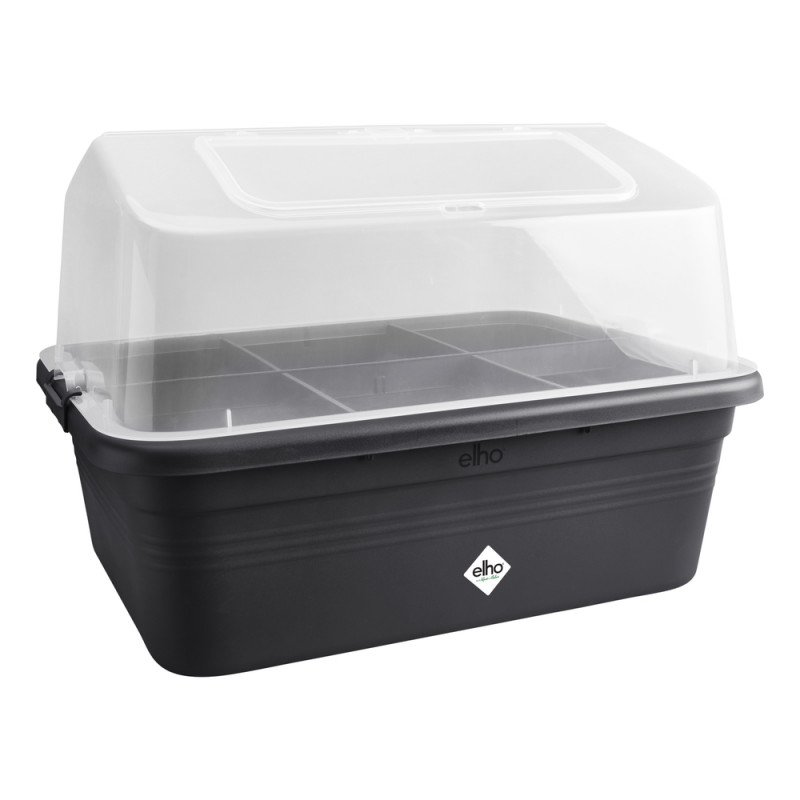 Serre de culture Green basics coloris transparent