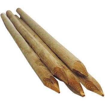 Tuteur Fraisé, en bois L. 200 cm, d. 5cm