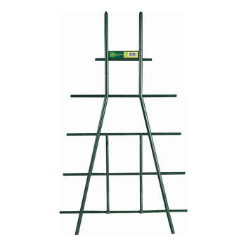 Tuteur Echelle Vert 50 cm