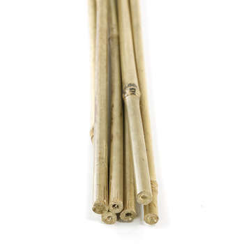 Tuteur en bambou H 60cm x 6 pièces