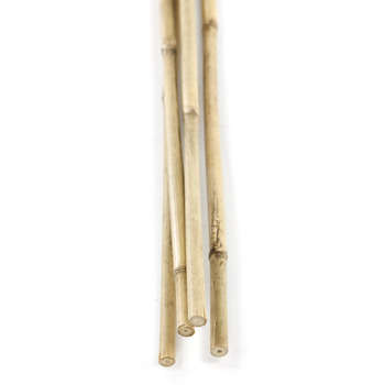 Tuteur en bambou H90cm x4 pièces