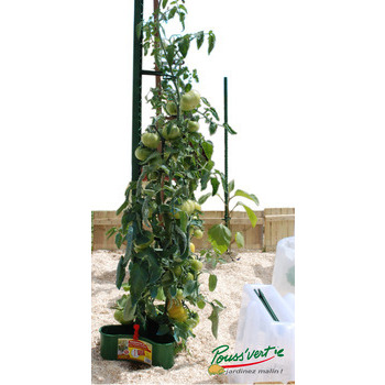 Tuteur à tomates H180cm en plastique. Origine FR
