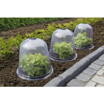 Cloches de forçage : PVC, dia. 33,5cm, x3