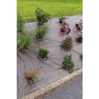 Toile de paillage 2,1x25m marron