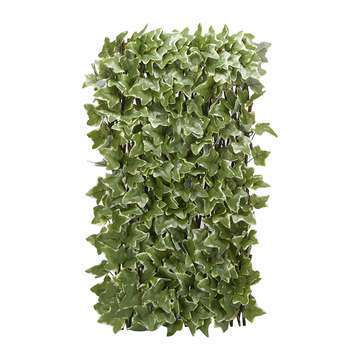 Treillis lierre L. 180 cm