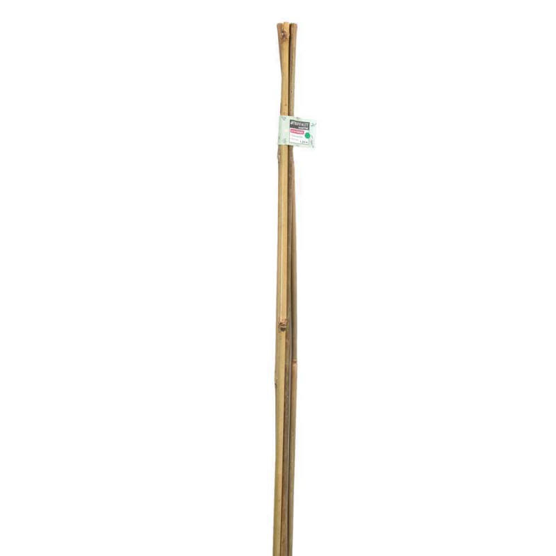Lot de 4 tuteurs bambou Diam. 8/10 mm H 120 cm