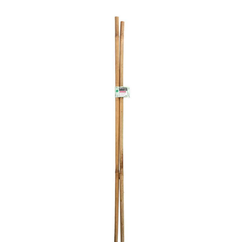Lot de 2 tuteurs bambou Diam. 14/16 mm H 180 cm