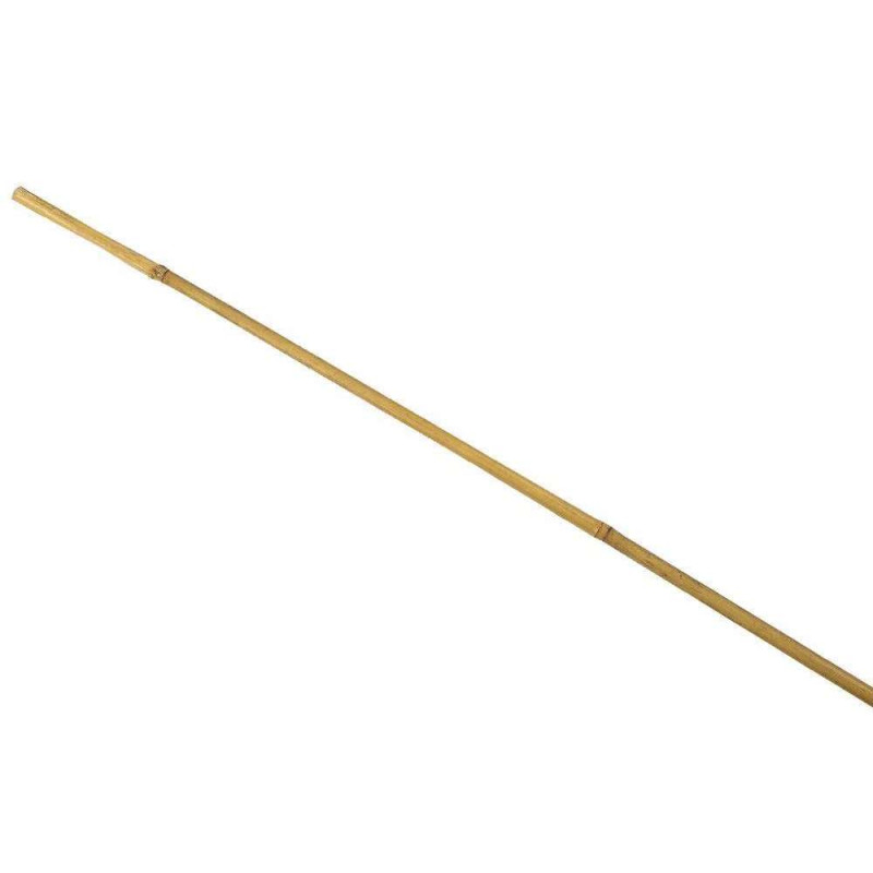 1 tuteur bambou Diam. 16/18 mm  H 210 cm
