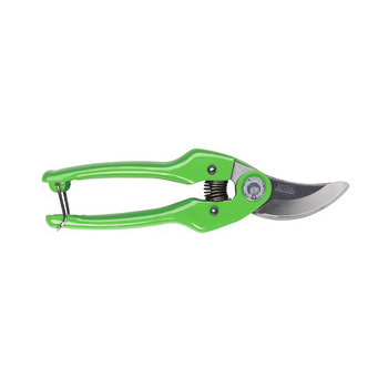 Sécateur gamme tendance en inox vert