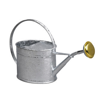 Arrosoir avec pomme galvanisé à chaud 1,75L