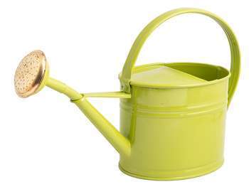 Arrosoir galvanisé dune contenance de 1,75L Vert