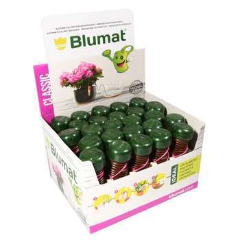 Irrigateur Blumat : argile