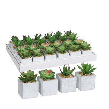 Succulente artificielle, en pot D5 x H. 8 cm