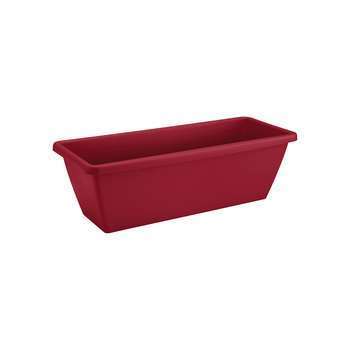 Jardinière : fruits rouges, 50x19,5x15,6cm