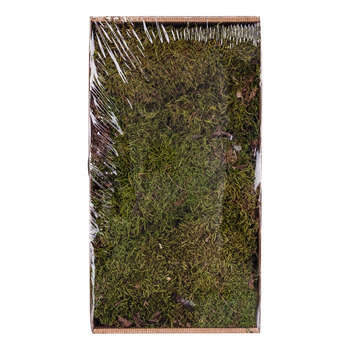 Décoration pour paysage de Noël : Mousse boîte de