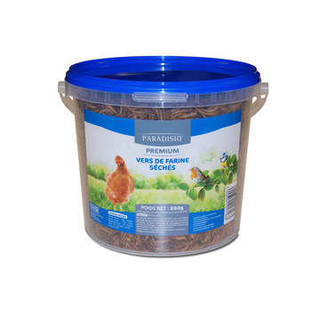 Vers de farine séchés - 850 g